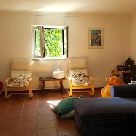 Casa Dos Covelos Holiday home